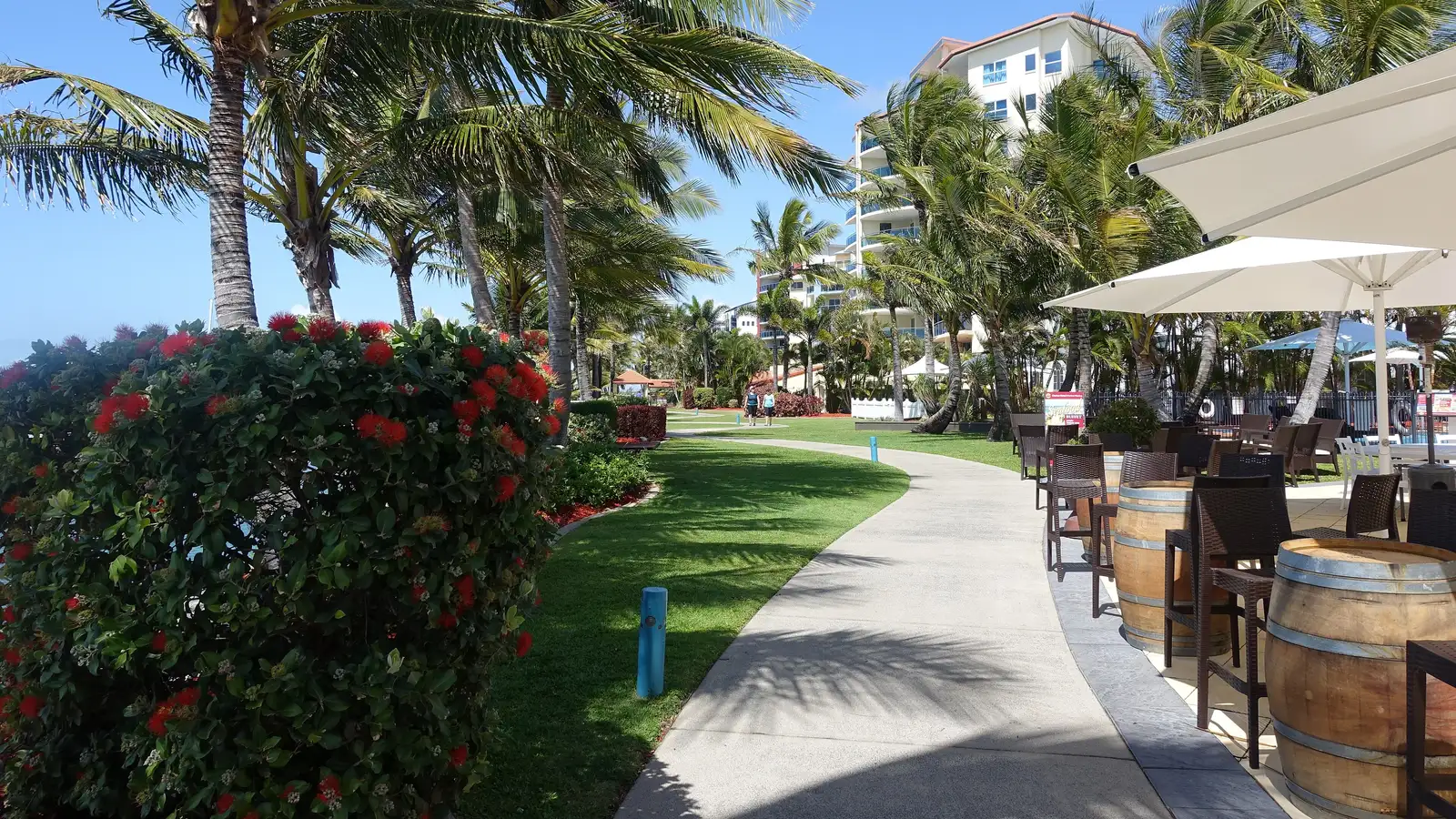 Palm-lined walkway and cafes at the Mackay Marina, Queensland