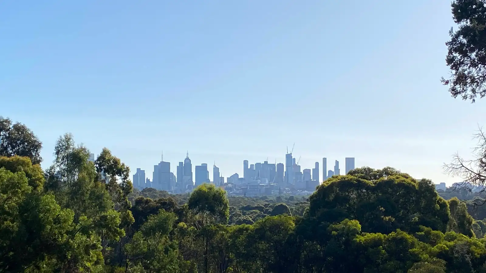 Melbourne CBD skyline seen across the trees of Yarra Bend Park on a clear day