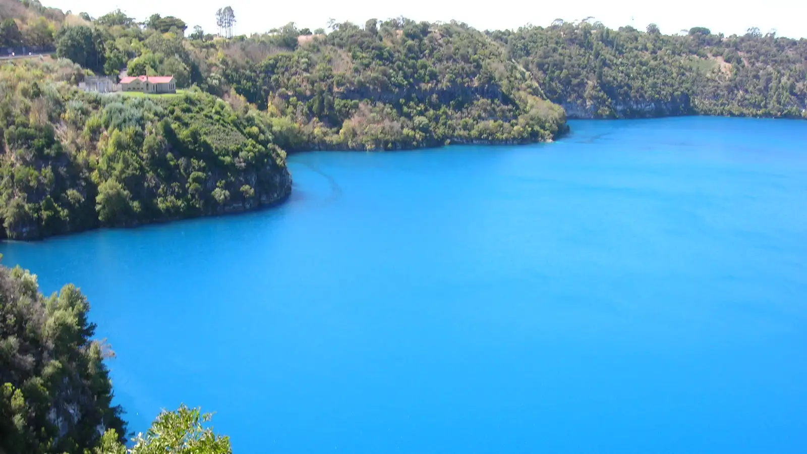 The vivid blue crater lake at Mount Gambier, ringed by green cliffs and trees