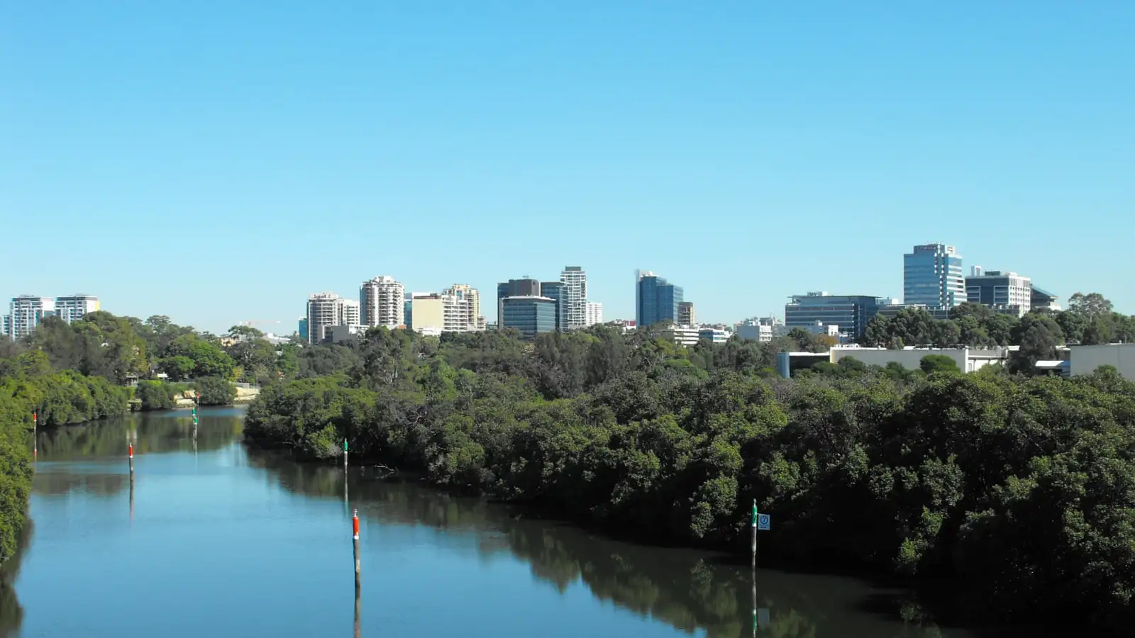 Parramatta CBD skyline above the Parramatta River and mangroves on a clear day
